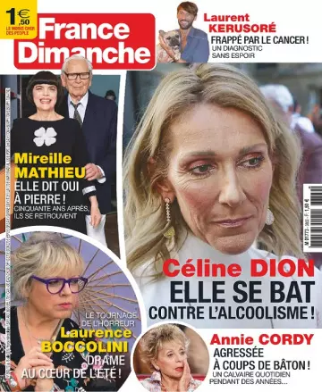 France Dimanche N°3802 Du 12 Juillet 2019  [Magazines]