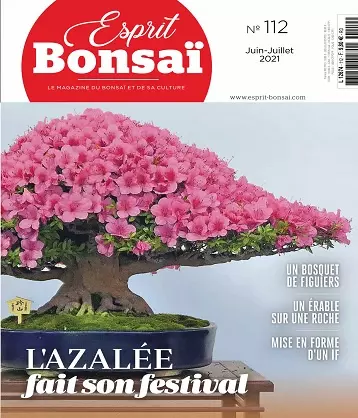 Esprit Bonsaï N°112 – Juin-Juillet 2021 [Magazines]