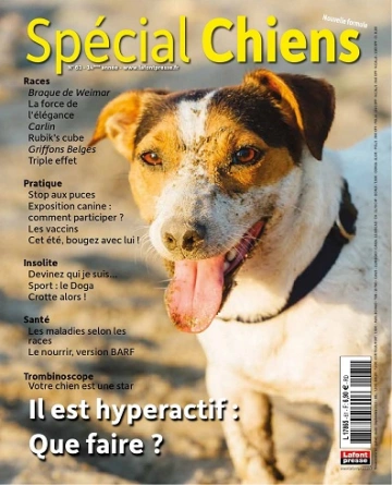 Spécial Chiens N°61 – Juillet-Septembre 2023 [Magazines]