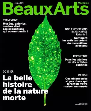 Beaux Arts Magazine N°431 – Juin 2020 [Magazines]