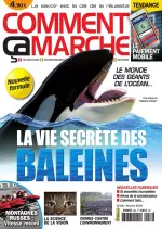 Comment Ça Marche N°56 – La Vie Secrète Des Baleines [Magazines]