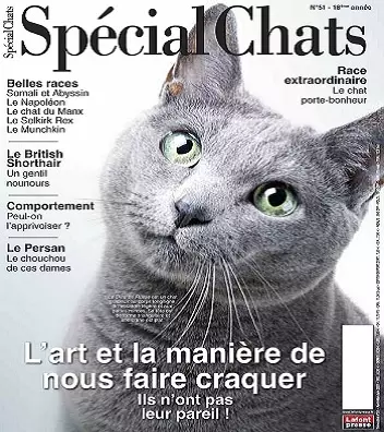 Spécial Chats N°51 – Avril-Juin 2021 [Magazines]