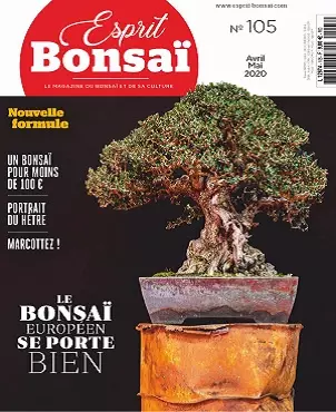 Esprit Bonsaï N°105 – Avril-Mai 2020 [Magazines]