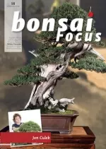 Bonsaï Focus - Mars/Avril 2018 (No. 98)  [Magazines]