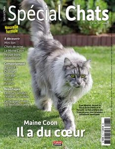 Spécial Chats N.62 - Janvier-Mars 2024 [Magazines]
