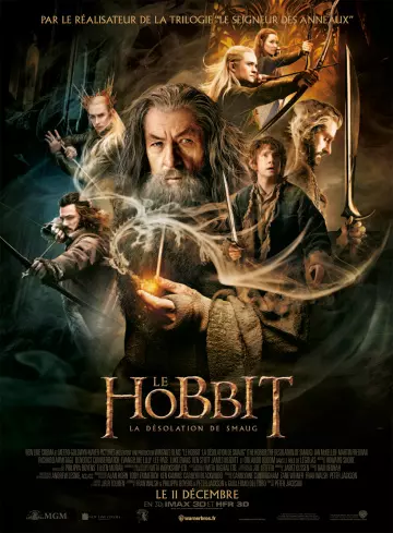 Le Hobbit : la Désolation de Smaug [HDLIGHT 1080p] - MULTI (TRUEFRENCH)