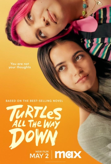 Turtles All The Way Down [HDRIP] - FRENCH