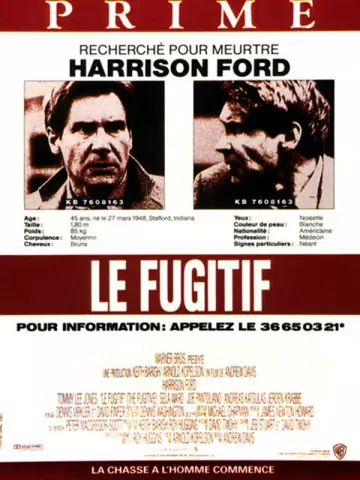 Le Fugitif [HDLIGHT 1080p] - MULTI (TRUEFRENCH)
