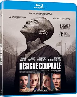 Désigné Coupable [BLU-RAY 720p] - TRUEFRENCH