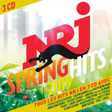NRJ Spring Hits 2019 [Albums]