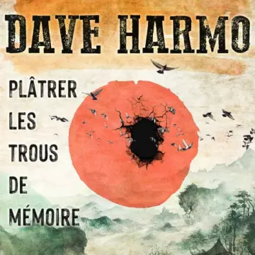 Dave Harmo - Plâtrer les trous de mémoire [Albums]