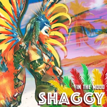 Shaggy - In The Mood [Albums]