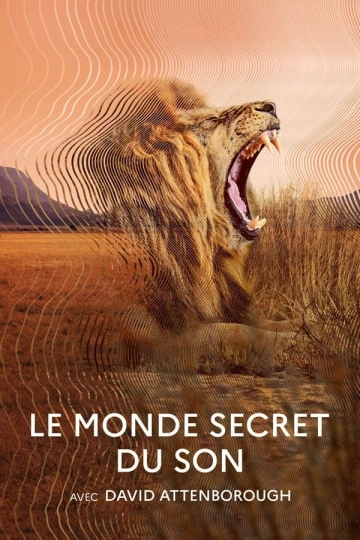 Le monde secret du son avec David Attenborough - Saison 1 - VOSTFR HD