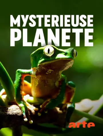 Mystérieuse planète - Saison 1 - VF HD