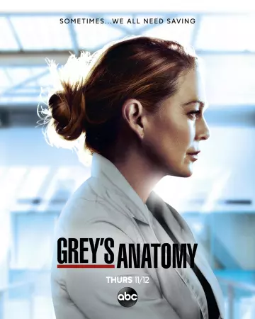Grey's Anatomy - Saison 17 - vostfr