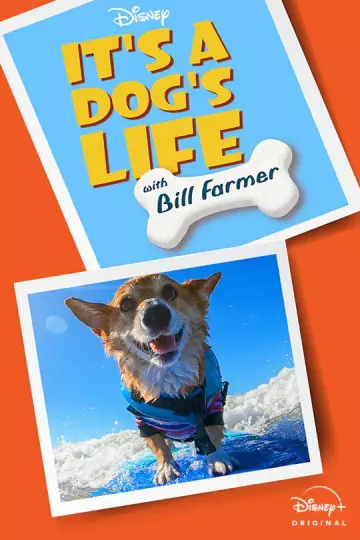 It's A Dog's Life - Saison 1 - VOSTFR HD